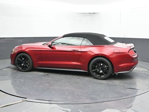 Used 2015 Ford Mustang Premium w/ Equipment Group 201A RWD image 6