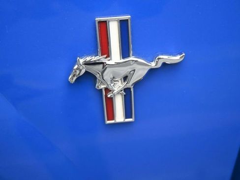 Used 2003 Ford Mustang Mach 1 image 30