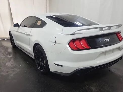 Used 2019 Ford Mustang Premium w/ Ecoboost Performance Package RWD image 3