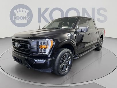Used 2023 Ford F150 XLT w/ Equipment Group 302A High