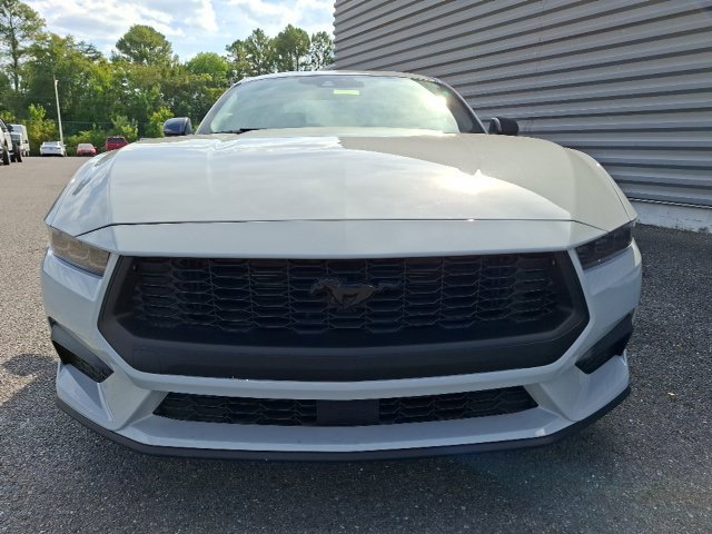 New 2026 Ford Mustang Coupe w/ Mustang Nite Pony Package RWD image 8