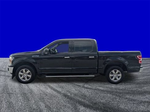 Certified 2019 Ford F150 XLT w/ Equipment Group 302A Luxury RWD image 6
