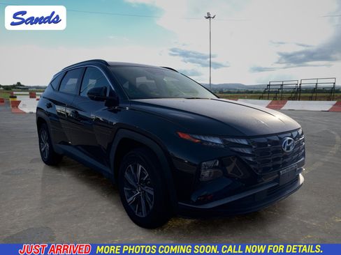 Used 2024 Hyundai Tucson Blue AWD/4WD image 1