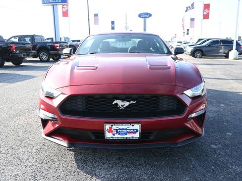 Used 2019 Ford Mustang Premium w/ Wheel & Stripe Package image 8