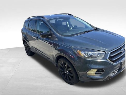 Used 2019 Ford Escape SE AWD/4WD image 12
