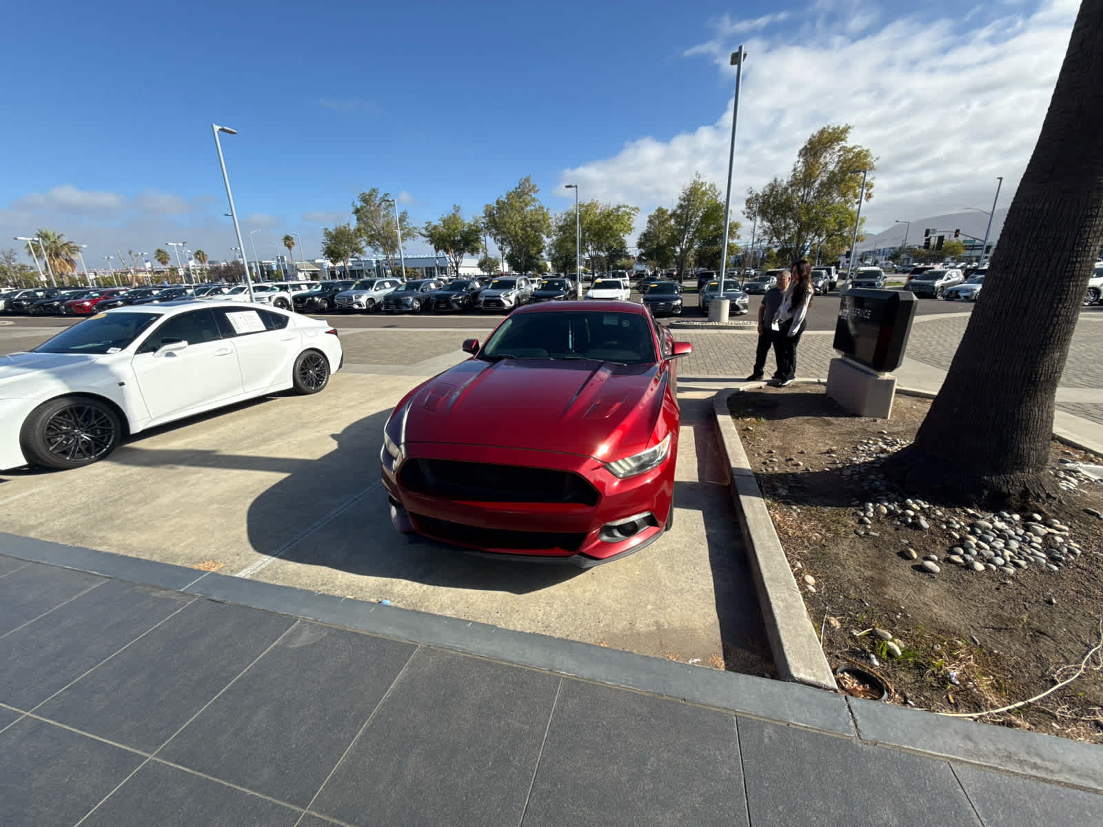 Used 2017 Ford Mustang GT Premium w/ Black Accent Package RWD image 4