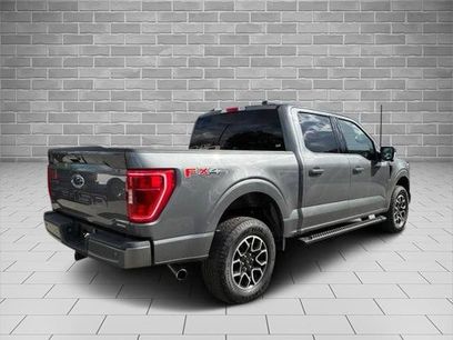 Certified 2023 Ford F150 XLT w/ Equipment Group 302A High