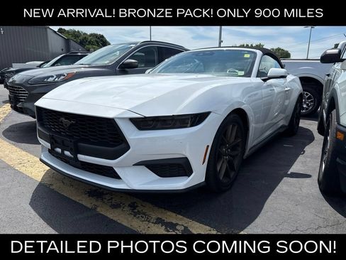 Used 2026 Ford Mustang Premium RWD image 1