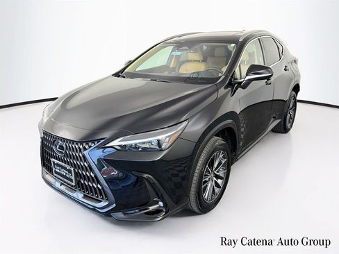 Certified 2024 Lexus NX 350 AWD w/ Cold Area Package image 3