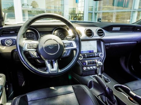 Used 2023 Ford Mustang GT Premium w/ Mustang Nite Pony Package RWD image 13