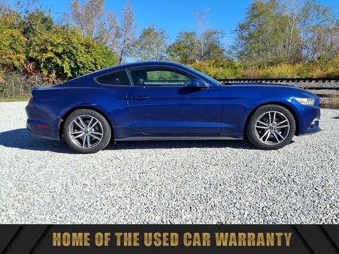 Used 2015 Ford Mustang Premium w/ Equipment Group 201A image 10