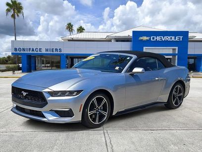Used 2024 Ford Mustang Premium