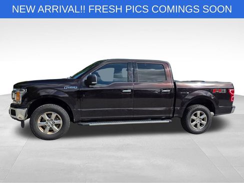 Used 2019 Ford F150 XLT w/ Equipment Group 302A Luxury AWD/4WD image 3