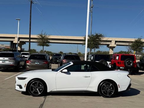 Used 2025 Ford Mustang EcoBoost image 7