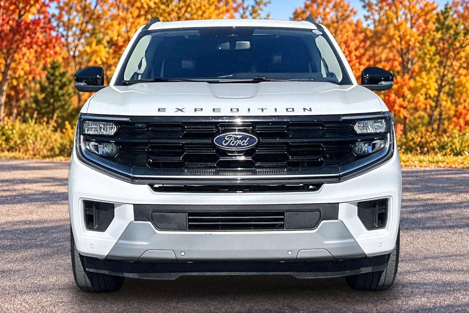 Certified 2025 Ford Expedition Max Platinum AWD/4WD image 3