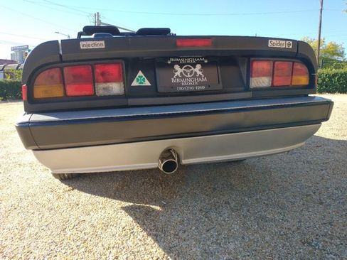 Used 1986 Alfa Romeo Spider Veloce image 68