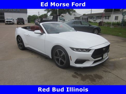 Used 2024 Ford Mustang Premium RWD image 1