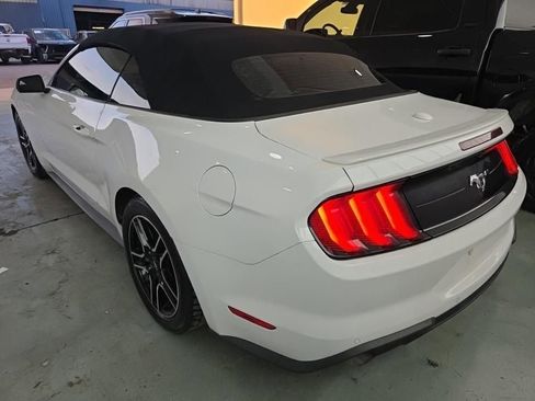 Used 2019 Ford Mustang Premium RWD image 2
