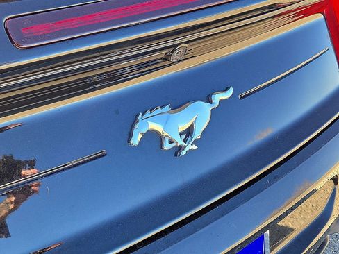 Used 2023 Ford Mustang Premium image 13