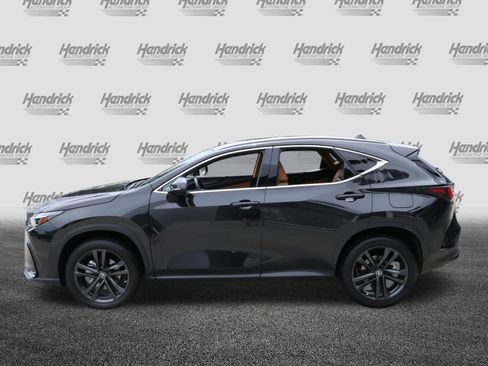 Used 2024 Lexus NX 450h+ AWD w/ Vision Package image 6