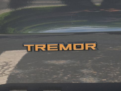 Used 2025 Ford Expedition Tremor AWD/4WD image 44