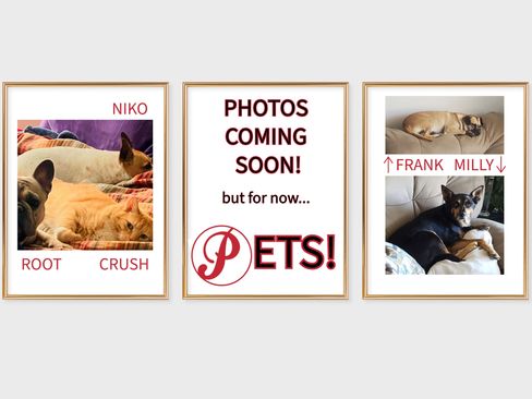 Used 2022 Ford Transit 350 XLT image 13