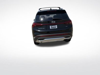 Used 2024 Hyundai Santa Fe Calligraphy
