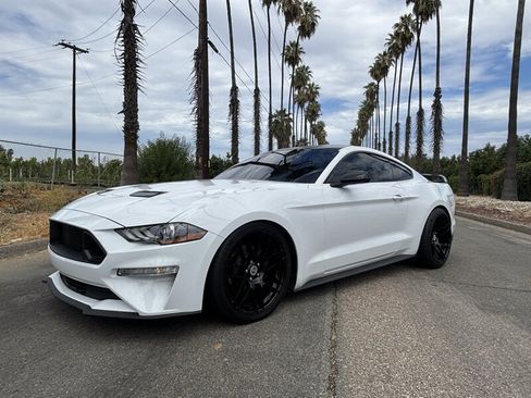 Used 2023 Ford Mustang Premium RWD image 2