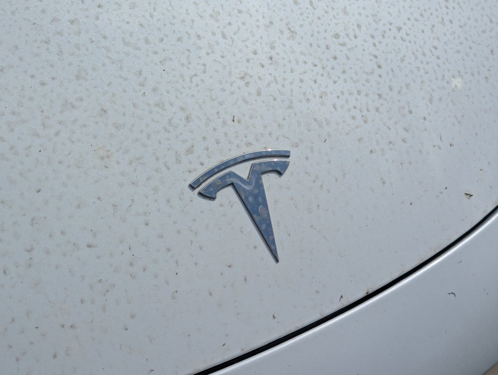 Used 2019 Tesla Model 3 RWD image 10