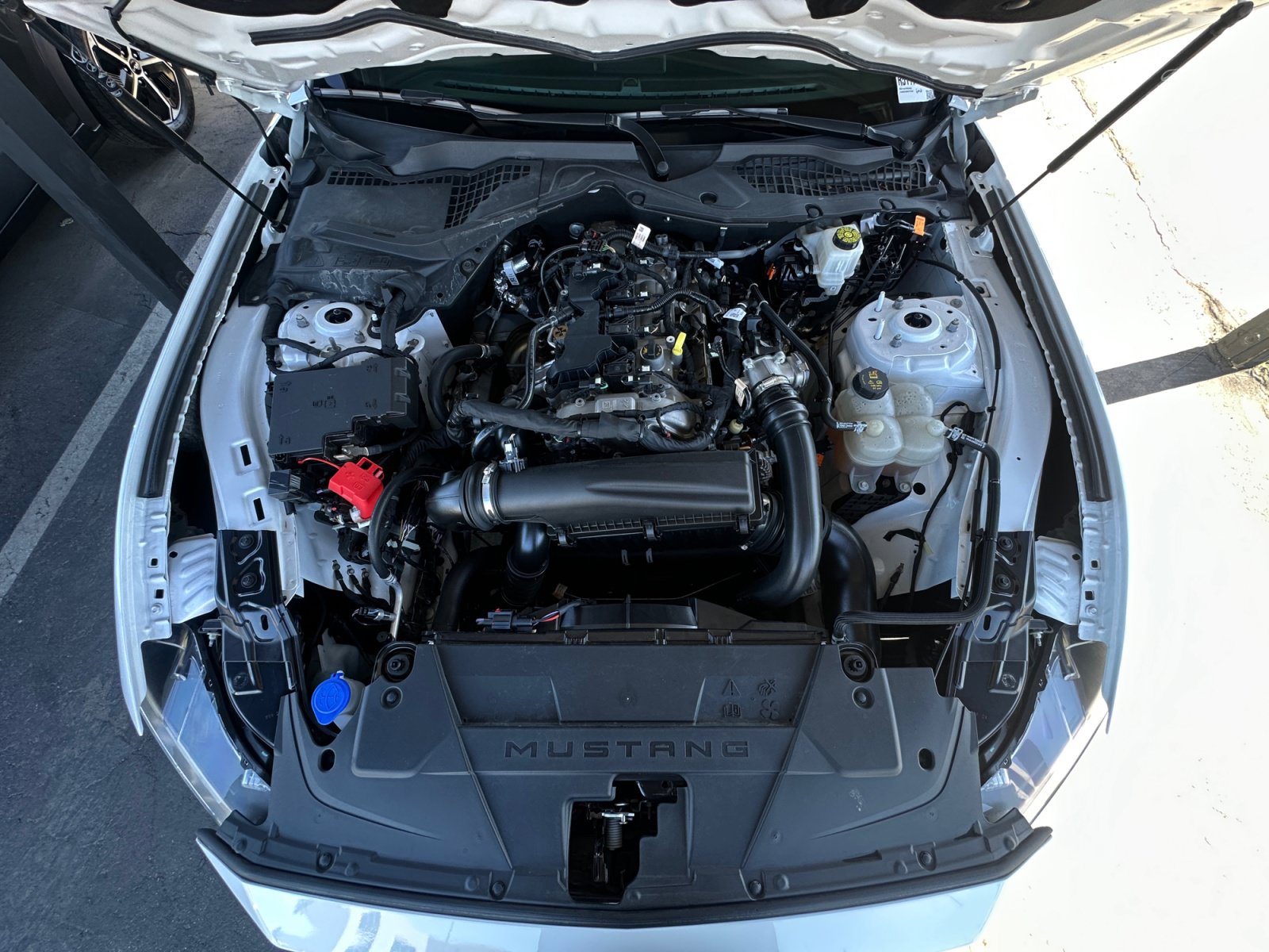 Used 2024 Ford Mustang Premium RWD image 28