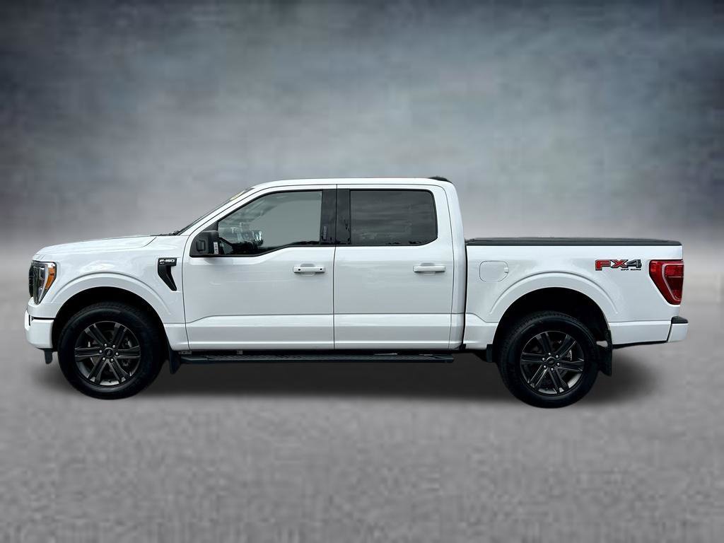 Used 2021 Ford F150 XLT w/ Equipment Group 302A High AWD/4WD image 9
