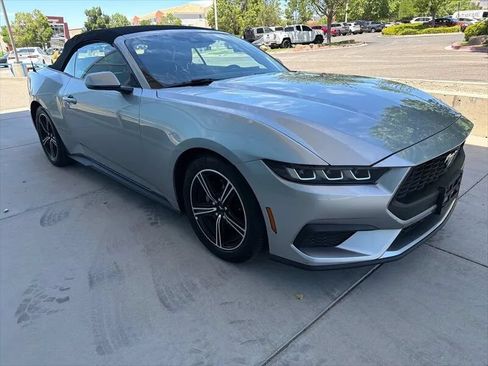 Used 2024 Ford Mustang Premium RWD image 2