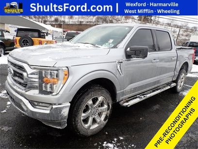 Used 2023 Ford F150 XLT w/ Equipment Group 302A High