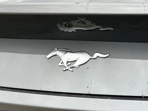 New 2026 Ford Mustang Coupe image 24