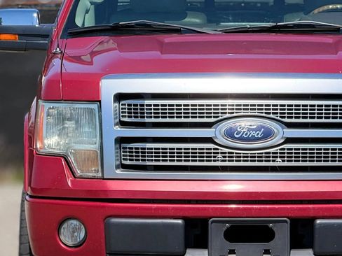 Used 2010 Ford F150 Platinum image 11