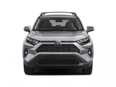New 2025 Toyota RAV4 XLE Premium