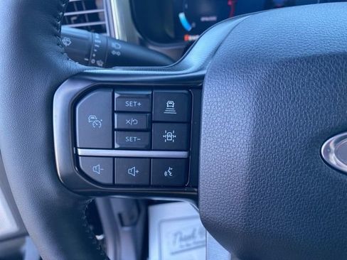 New 2026 Ford F250 Platinum w/ Tremor Off-Road Package image 16
