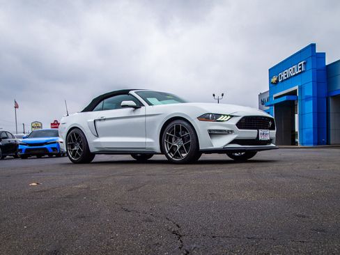 Used 2019 Ford Mustang GT Premium w/ Equipment Group 401A image 9