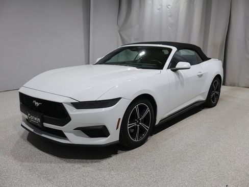 Used 2025 Ford Mustang Premium RWD image 5