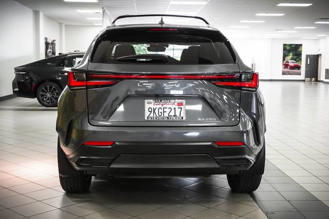 Certified 2024 Lexus NX 250 FWD w/ Cold Area Package image 7