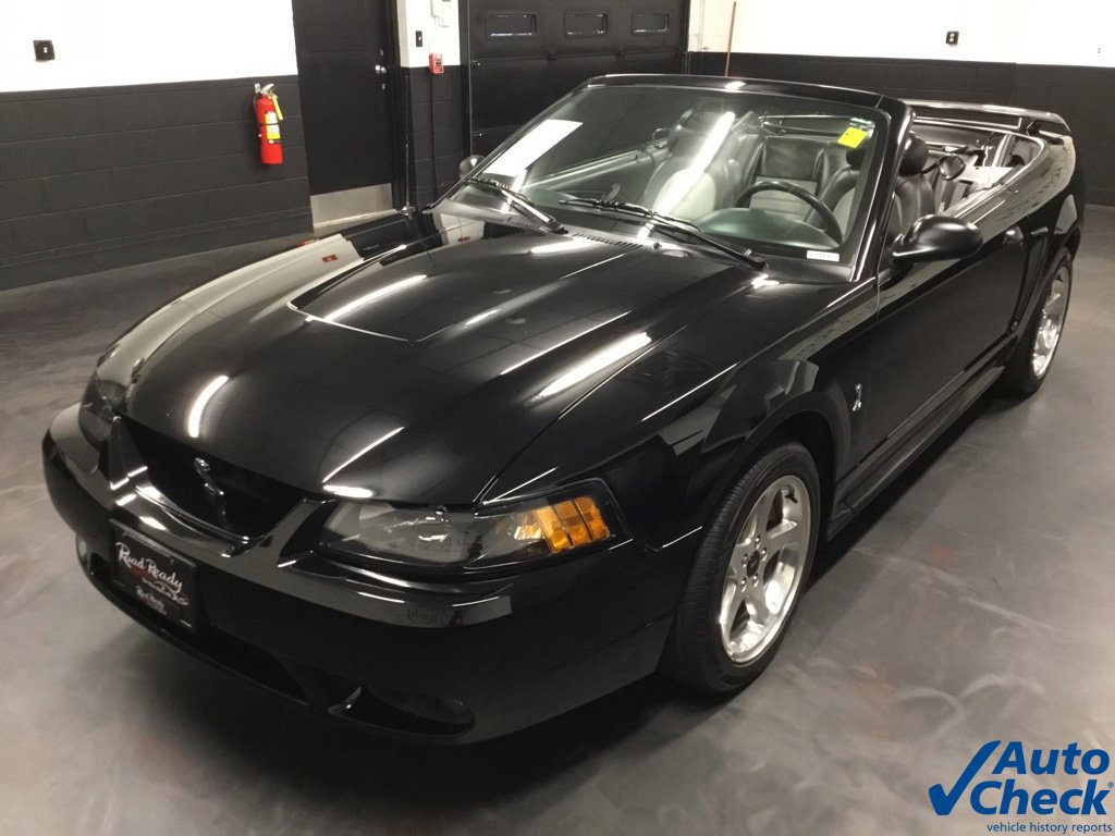Used 2001 Ford Mustang Cobra RWD image 6