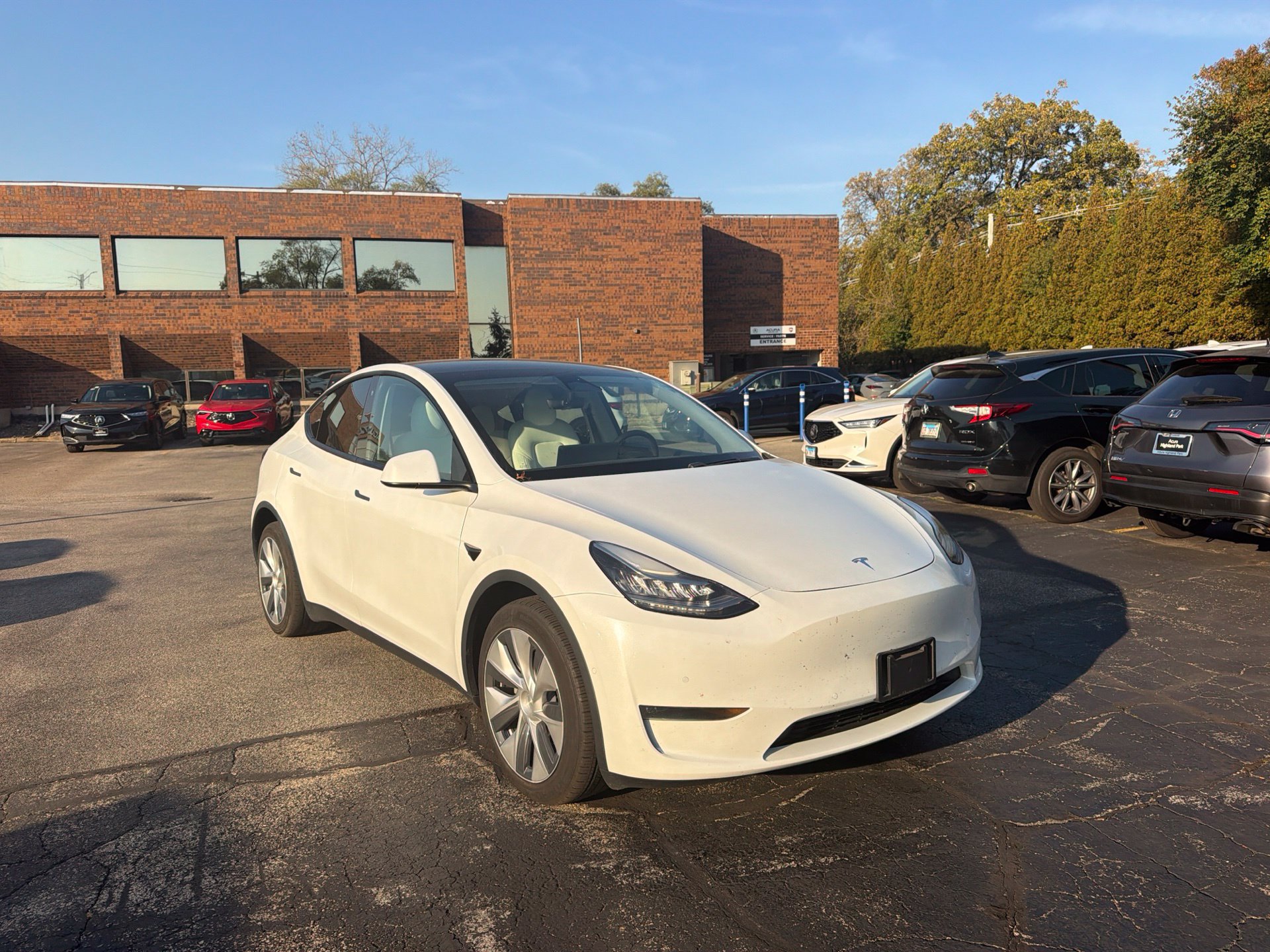 Used 2020 Tesla Model Y Long Range AWD/4WD image 9