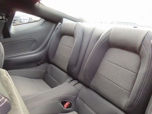 New 2026 Ford Mustang Coupe w/ Mustang Nite Pony Package image 15