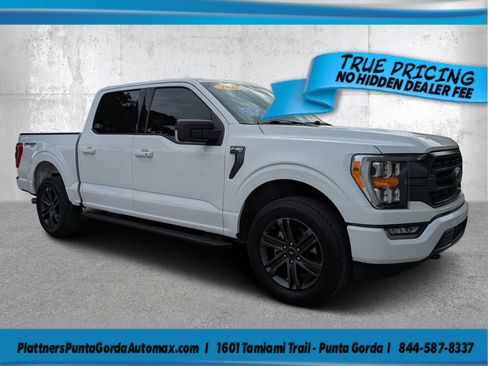 Used 2022 Ford F150 XLT w/ Equipment Group 302A High AWD/4WD image 1