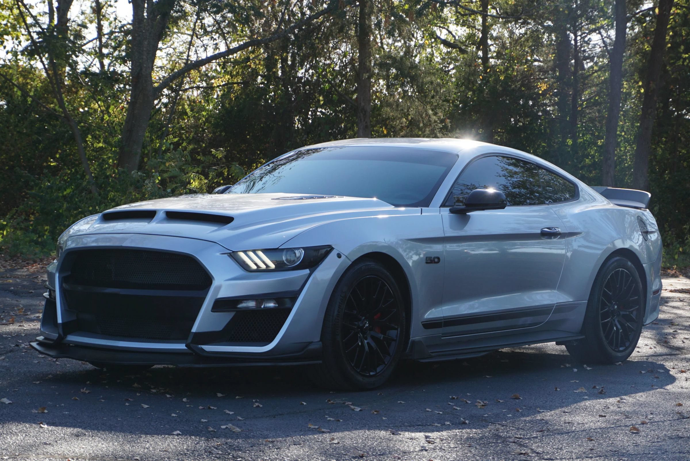 Used 2017 Ford Mustang GT Premium w/ Equipment Group 401A RWD image 1