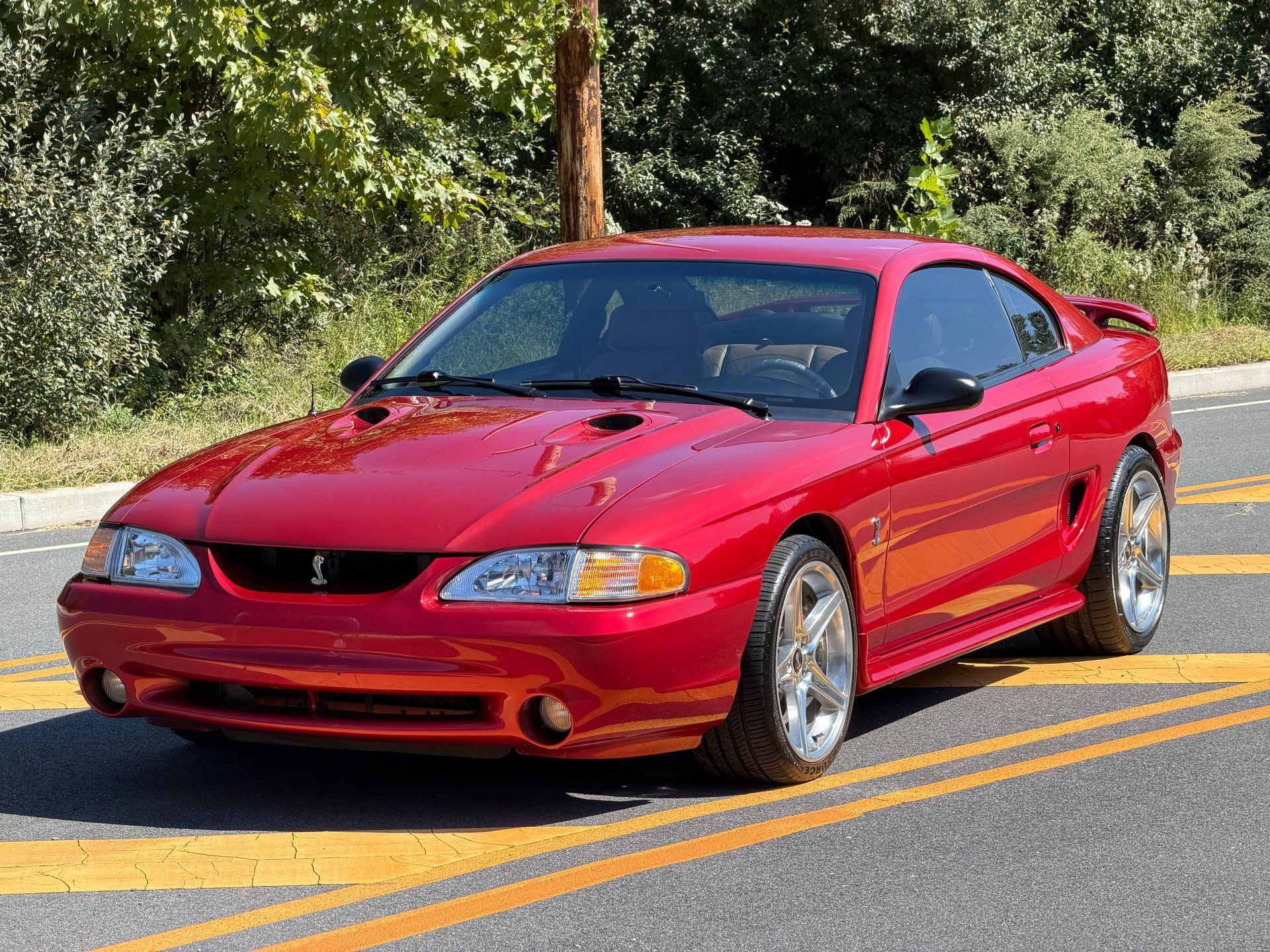 Used 1996 Ford Mustang Cobra RWD image 1