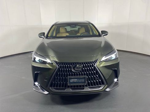 Used 2025 Lexus NX 350h AWD w/ Cold Area Package image 5