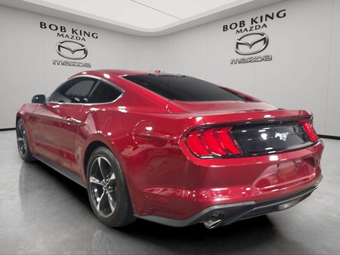 Used 2019 Ford Mustang Coupe RWD image 3