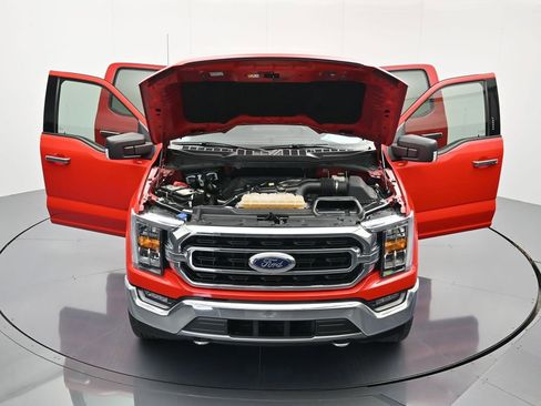 Used 2021 Ford F150 XLT w/ Equipment Group 302A High AWD/4WD image 43