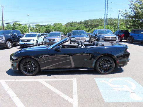 Used 2025 Ford Mustang GT Premium w/ Mustang Nite Pony Package RWD image 15